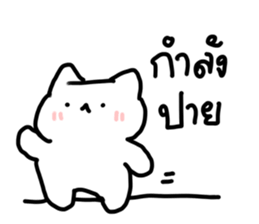 just meow รูปที่ 35