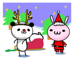 53233657