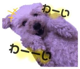 532373212