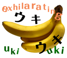 532374220