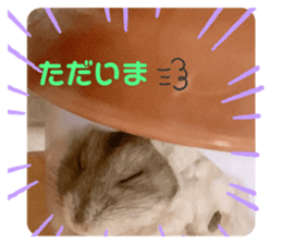 532377315