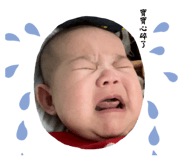 532385462