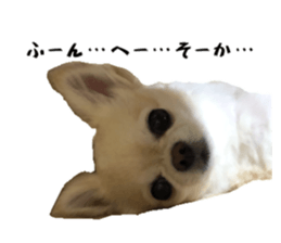 532388581