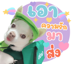 532391382