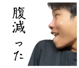 532404860