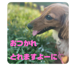 532430135