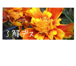532431024