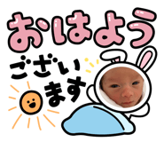 532439426