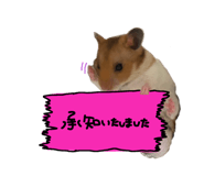 532441787