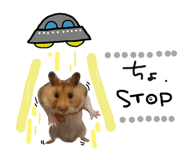 532441789