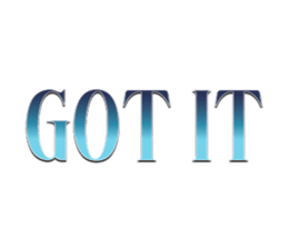 532450558