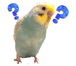 532454369