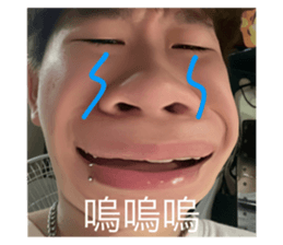 532460419