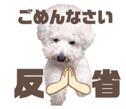 532460989
