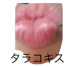 532466262