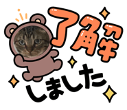 532473791