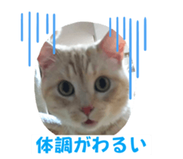 532475013