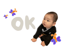 532479019