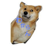 532481458