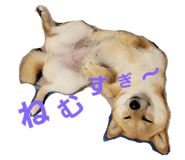 532481463