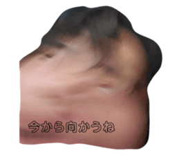 532481856