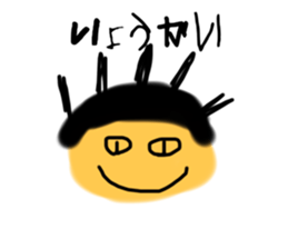 532520016