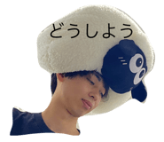 532549406