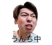 532549413