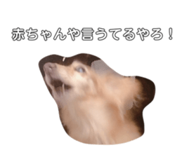 532574664
