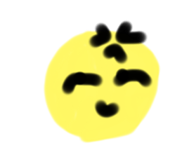 532592019