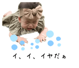 532599477