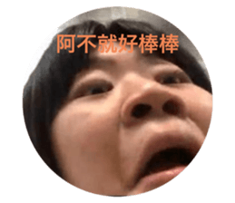 532600167