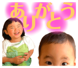 532600337