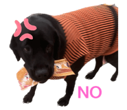 532602683