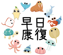 532627780