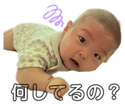 532630504