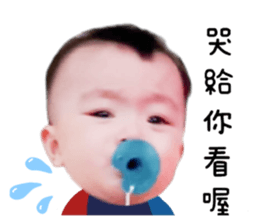 532654431