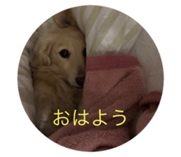532655145