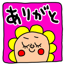 532655416