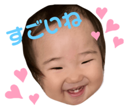532655844