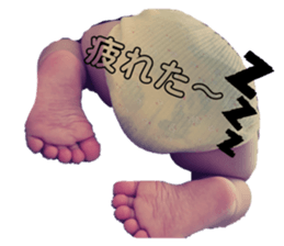 532655845