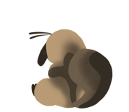 532675010