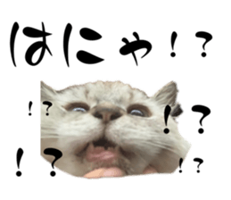 532679290