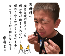 532735621