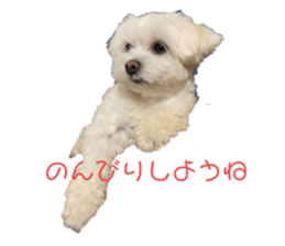 532752417