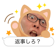 532778127