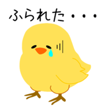532793908