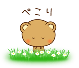 53280911