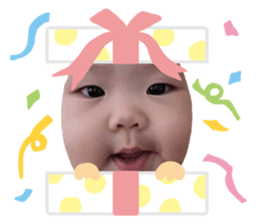 532815629