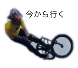 532838337
